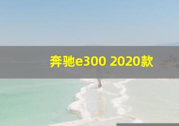 奔驰e300 2020款